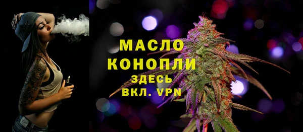 твердый Няндома