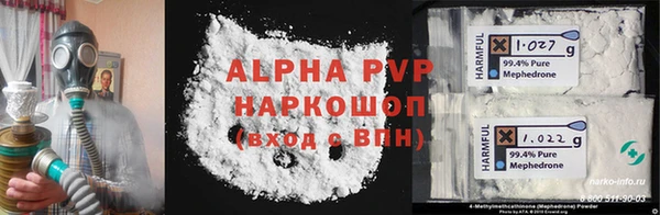 таблы Новозыбков