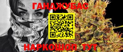 гидропоника Камышлов
