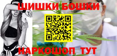 гидропоника Камышлов