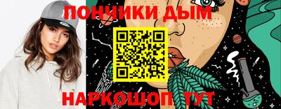 гидропоника Камышлов