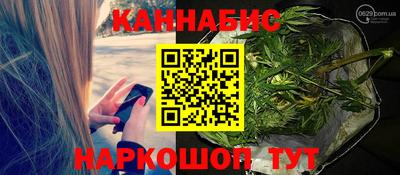 гидропоника Камышлов