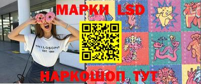 гидропоника Камышлов