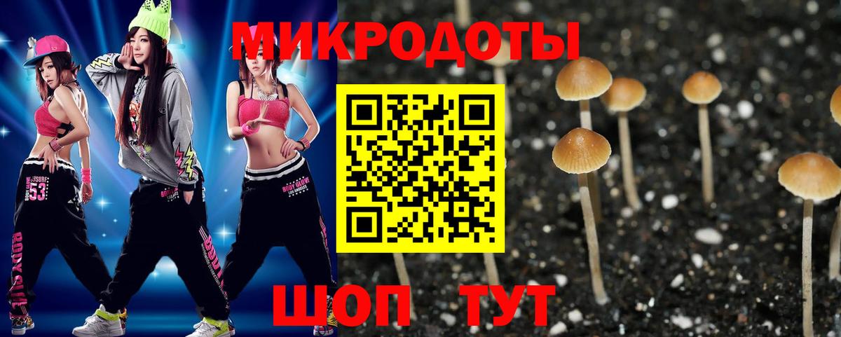 Псилоцибиновые грибы GOLDEN TEACHER  Вход с VPN  Кинешма  Галлюциногенные грибы Psilocybine cubensis 
