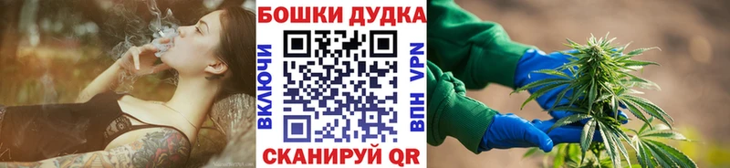 где купить   Кинешма  Бошки марихуана сатива 